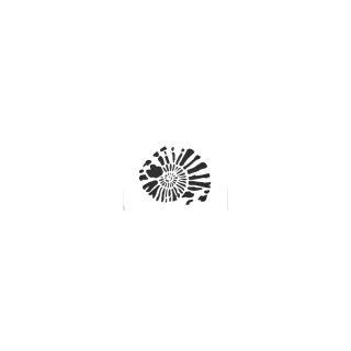 Kreidezeit Schablone Ammonit 2 A3 - 9402-2