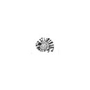 Kreidezeit Schablone Ammonit 2 A3 - 9402-2