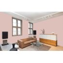 Auro Wandfarbe 555 - Colours for life - 100 powder