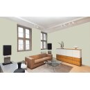 Auro Wandfarbe 555 - Colours for life - 155 celery