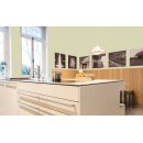 Auro Wandfarbe 555 - Colours for life - 160 chartreuse