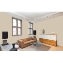 Auro Wandfarbe 555 - Colours for life - 172 ginger