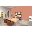 Auro Wandfarbe 555 - Colours for life - 234 salmon