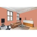 Auro Wandfarbe 555 - Colours for life - 234 salmon