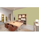 Auro Wandfarbe 555 - Colours for life - 246 green apple