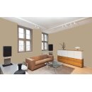 Auro Wandfarbe 555 - Colours for life - 258 tierra