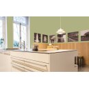 Auro Wandfarbe 555 - Colours for life - 291 mint