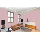 Auro Wandfarbe 555 - Colours for life - 30.2 misty rose
