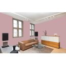 Auro Wandfarbe 555 - Colours for life - 30.3 flirt
