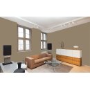 Auro Wandfarbe 555 - Colours for life - 302 tobacco