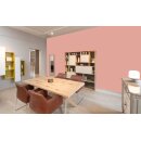 Auro Wandfarbe 555 - Colours for life - 32.2 bubble gum