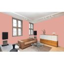 Auro Wandfarbe 555 - Colours for life - 32.2 bubble gum