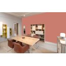 Auro Wandfarbe 555 - Colours for life - 32.4 pottery red