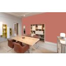 Auro Wandfarbe 555 - Colours for life - 32.5 mars