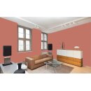 Auro Wandfarbe 555 - Colours for life - 32.5 mars