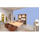 Auro Wandfarbe 555 - Colours for life - 50.5 cielo blu