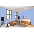 Auro Wandfarbe 555 - Colours for life - 50.5 cielo blu