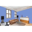 Auro Wandfarbe 555 - Colours for life - 50.7 cornflower
