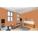 Auro Wandfarbe 555 - Colours for life - 501 calendula