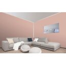 Auro Wandfarbe 555 - Colours for life - 589 romantic rose