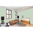 Auro Wandfarbe 555 - Colours for life - 60.2 crema verde