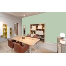 Auro Wandfarbe 555 - Colours for life - 60.3 pistacchio