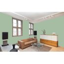 Auro Wandfarbe 555 - Colours for life - 60.4 kardamom