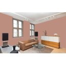 Auro Wandfarbe 555 - Colours for life - 651 dixie