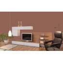 Auro Wandfarbe 555 - Colours for life - 725 wood