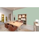 Auro Wandfarbe 555 - Colours for life - 765 green tea