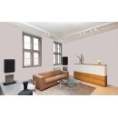 Auro Wandfarbe 555 - Colours for life - 81.1 cement