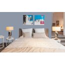 Auro Wandfarbe 555 - Colours for life - 848 argento