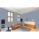 Auro Wandfarbe 555 - Colours for life - 848 argento