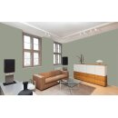 Auro Wandfarbe 555 - Colours for life - 969 green olive
