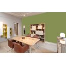 Auro Wandfarbe 555 - Colours for life - apple green