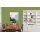 Auro Wandfarbe 555 - Colours for life - apple green