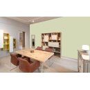Auro Wandfarbe 555 - Colours for life - apple green 20