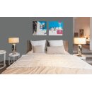 Auro Wandfarbe 555 - Colours for life - asphalt grey 05