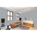 Auro Wandfarbe 555 - Colours for life - asphalt grey 15