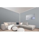 Auro Wandfarbe 555 - Colours for life - asphalt grey 15