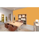 Auro Wandfarbe 555 - Colours for life - bitter orange 05