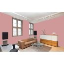 Auro Wandfarbe 555 - Colours for life - blossom pink