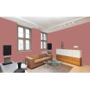 Auro Wandfarbe 555 - Colours for life - bright chestnut 10