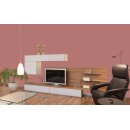 Auro Wandfarbe 555 - Colours for life - bright chestnut 10