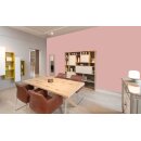 Auro Wandfarbe 555 - Colours for life - bright chestnut 20