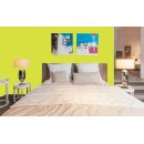 Auro Wandfarbe 555 - Colours for life - bright green