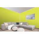 Auro Wandfarbe 555 - Colours for life - bright green 05