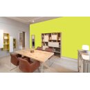 Auro Wandfarbe 555 - Colours for life - bright green 05