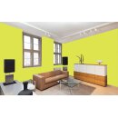 Auro Wandfarbe 555 - Colours for life - bright green 05