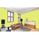 Auro Wandfarbe 555 - Colours for life - bright green 10
